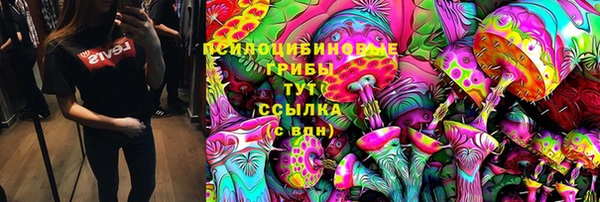 прущие крисы Абинск