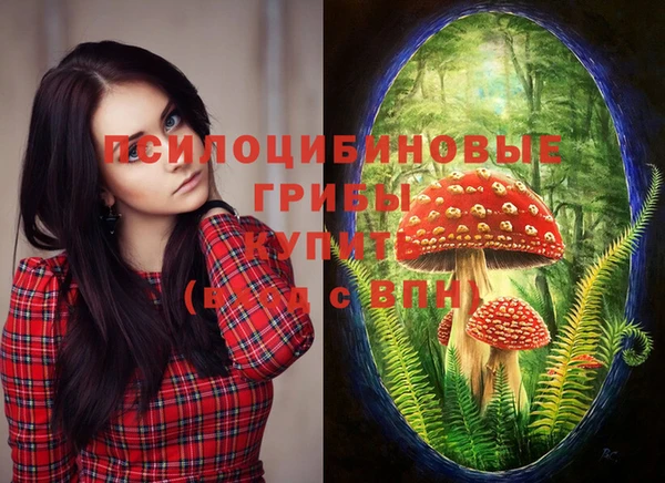 прущие крисы Абинск