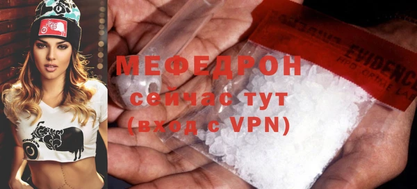 гидра Няндома
