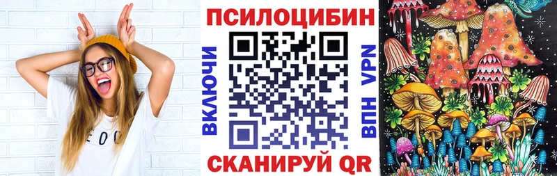 купить   Ирбит  Псилоцибиновые грибы GOLDEN TEACHER 
